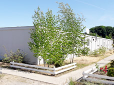 31er Containeranlage Hamburg